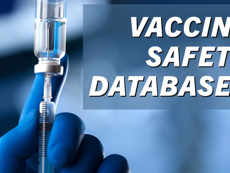 How Vaccine Safety Databases Contribute to Public Health Surveillance
