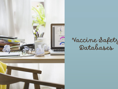 How Vaccine Safety Databases Enhance Real-World Data Utilization