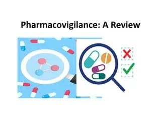 Bridging Borders: Global Collaboration Trends in Pharmacovigilance Databases