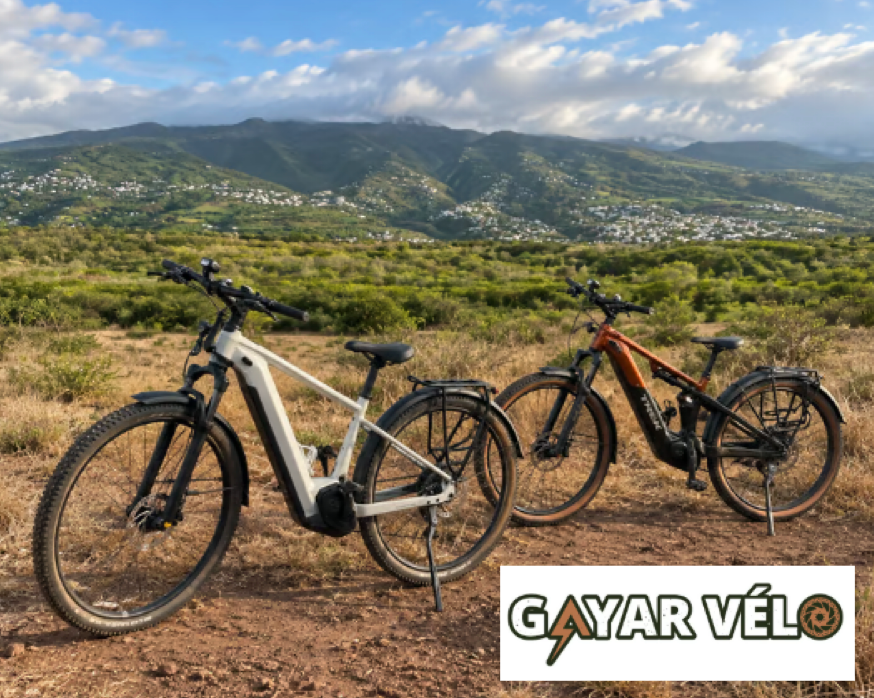 Location de vélo