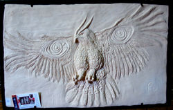 Symbole