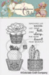 KL772 Kris Lauren ~ Stay Sharp