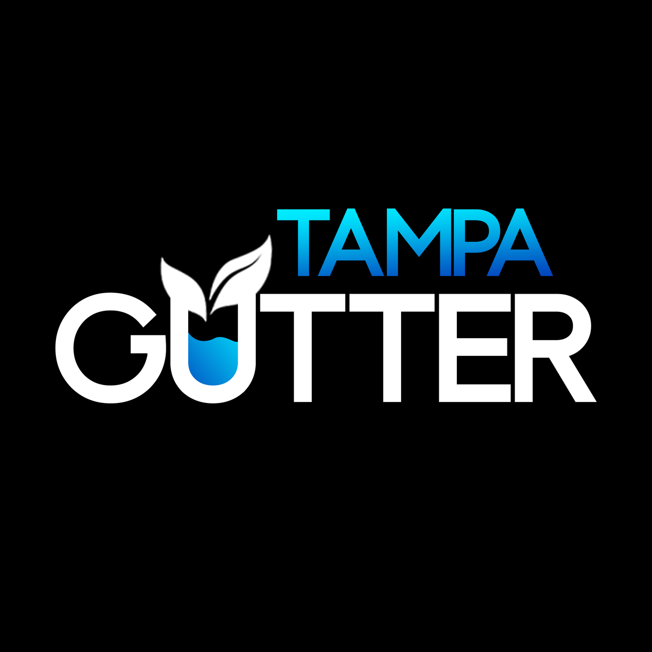 Gutter Cleaning Tampa 727 333 0187