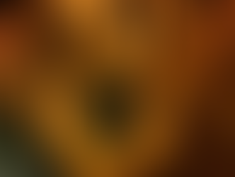 Shelter Dogs Aren't Broken