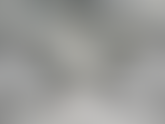 A Heartfelt Reclaiming of What it Means to Nourish Our Pets