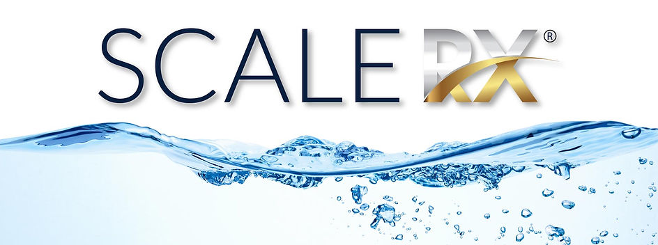 scalerx Banner.jpeg