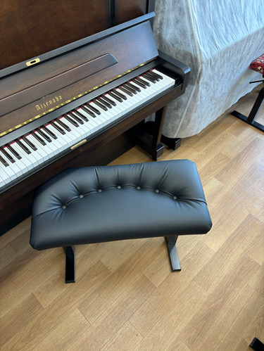 Andexinger / ｱﾝﾃﾞｸｼﾝｶﾞｰ【 Ergo 】 | ピアノ調律すぴあなーと