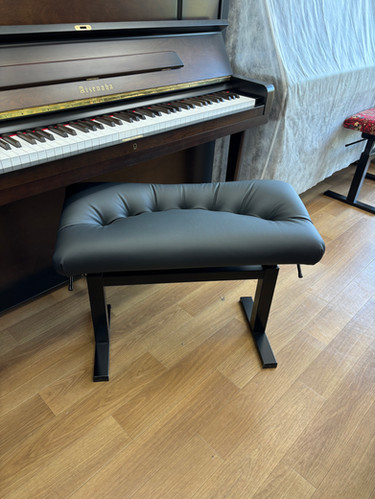 Andexinger / ｱﾝﾃﾞｸｼﾝｶﾞｰ【 Ergo 】 | ピアノ調律すぴあなーと