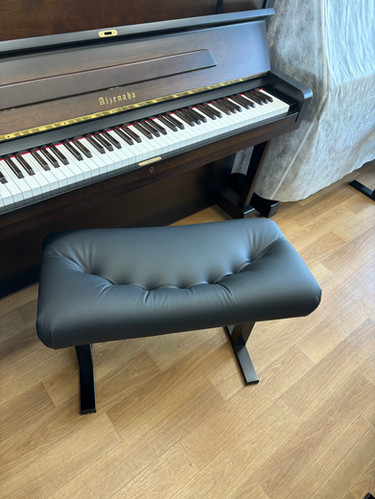 Andexinger / ｱﾝﾃﾞｸｼﾝｶﾞｰ【 Ergo 】 | ピアノ調律すぴあなーと