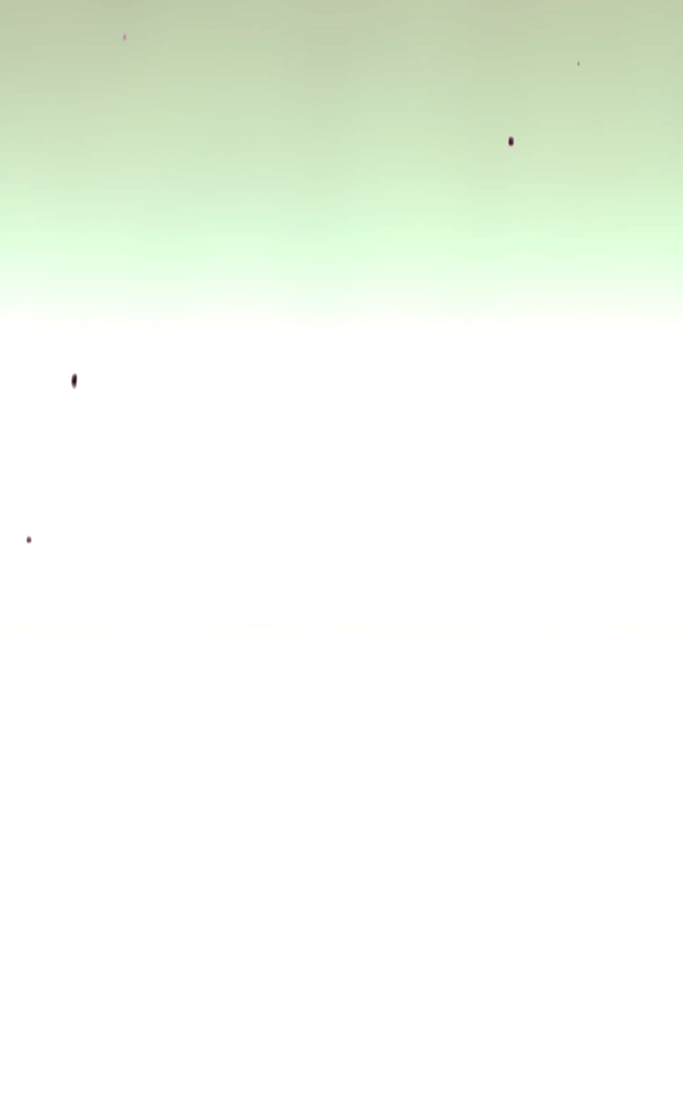 IMG_9045.png