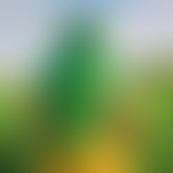 The Stigma of Cannabis Use: A Mother's Experience