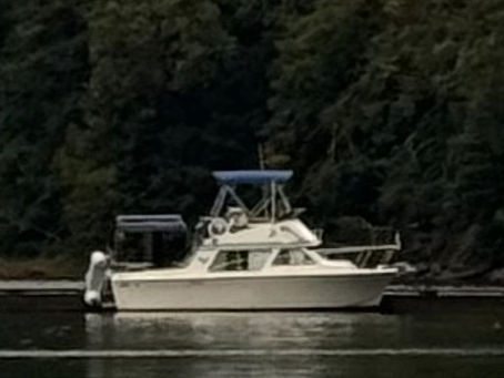 Baywolf gets a tuneup.