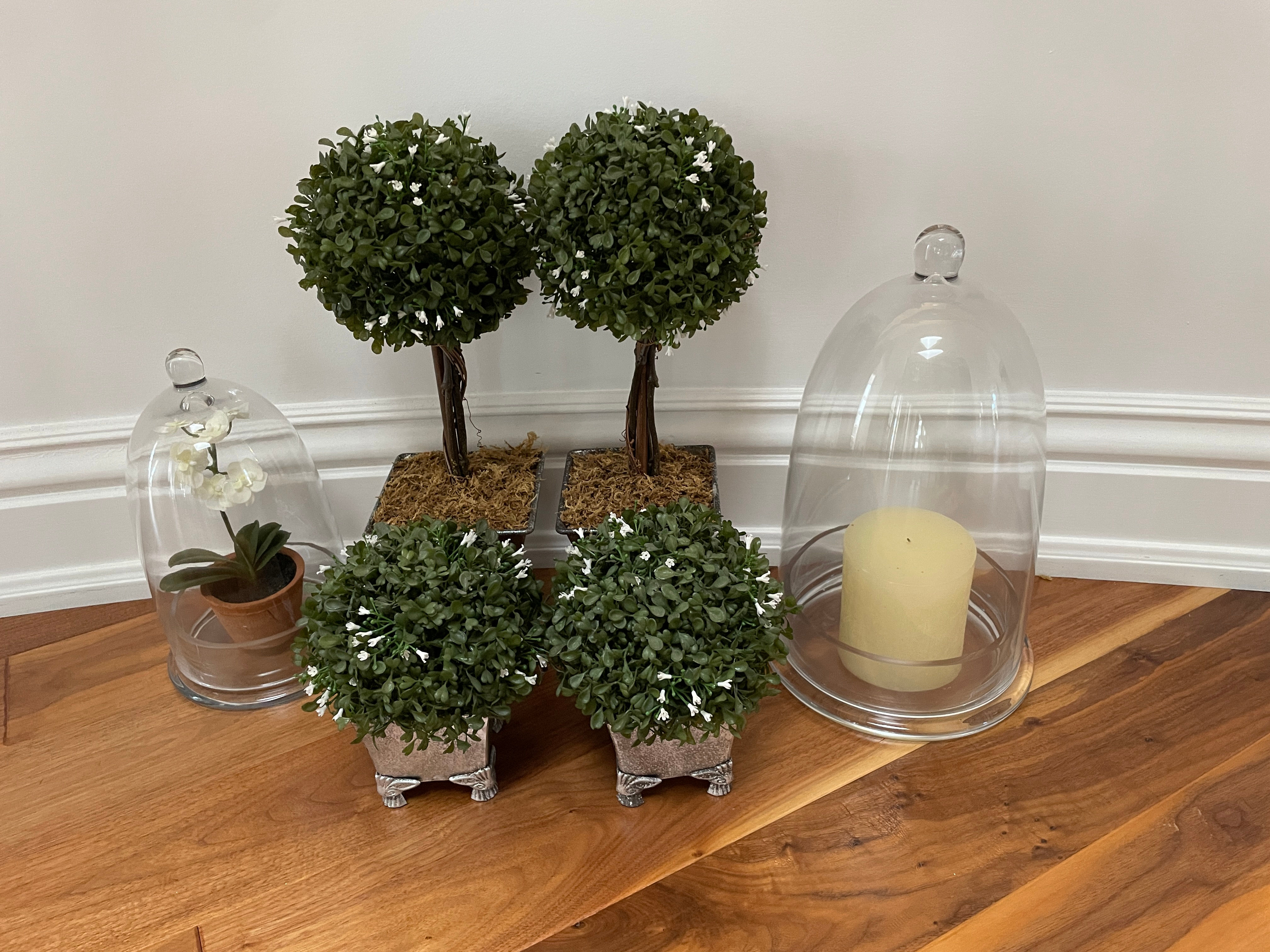 Lot 71 - Topiaries & Glass Domes