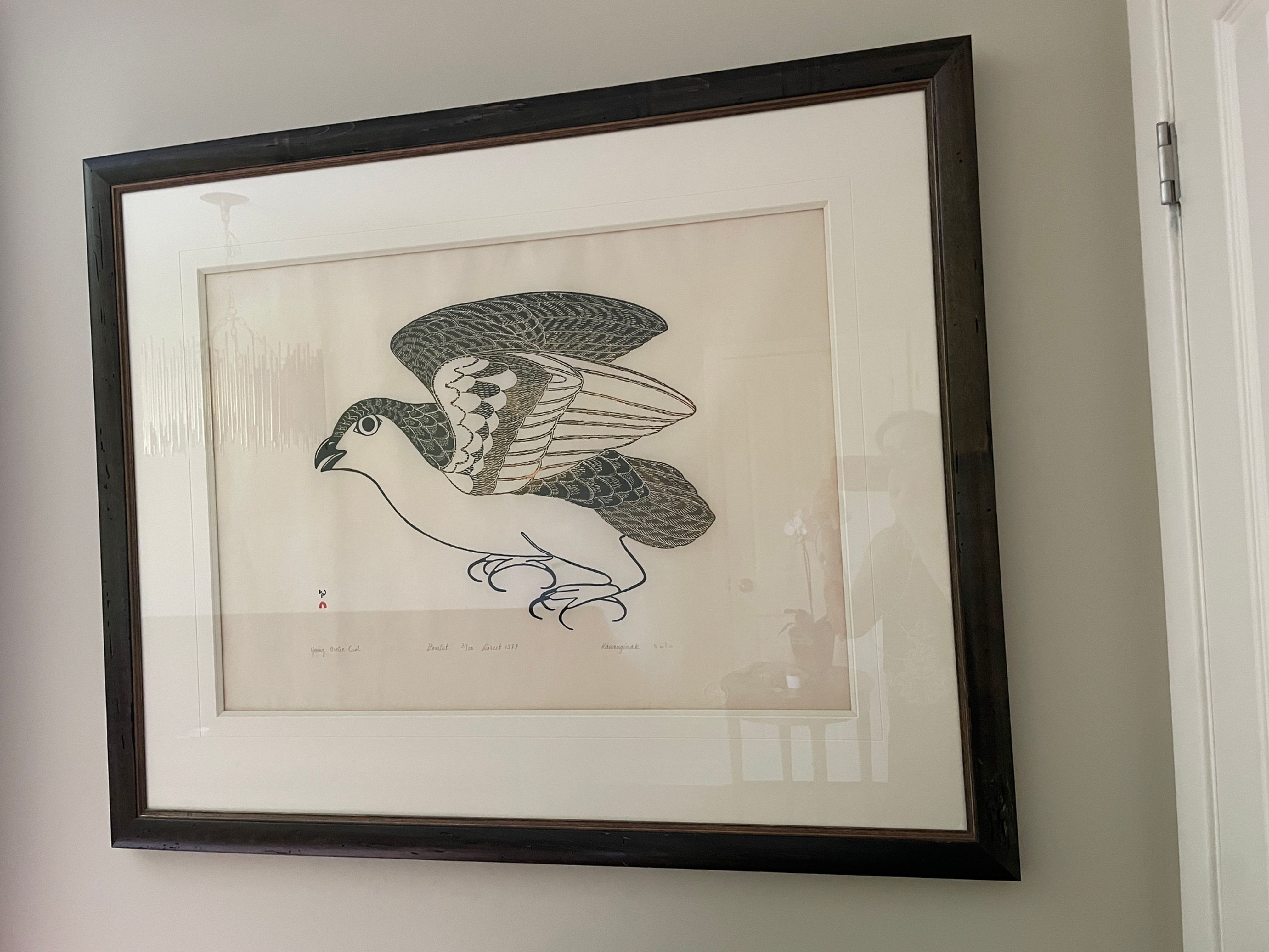 Lot - Lithograph by P. Kananginak - Young Arctic Owl