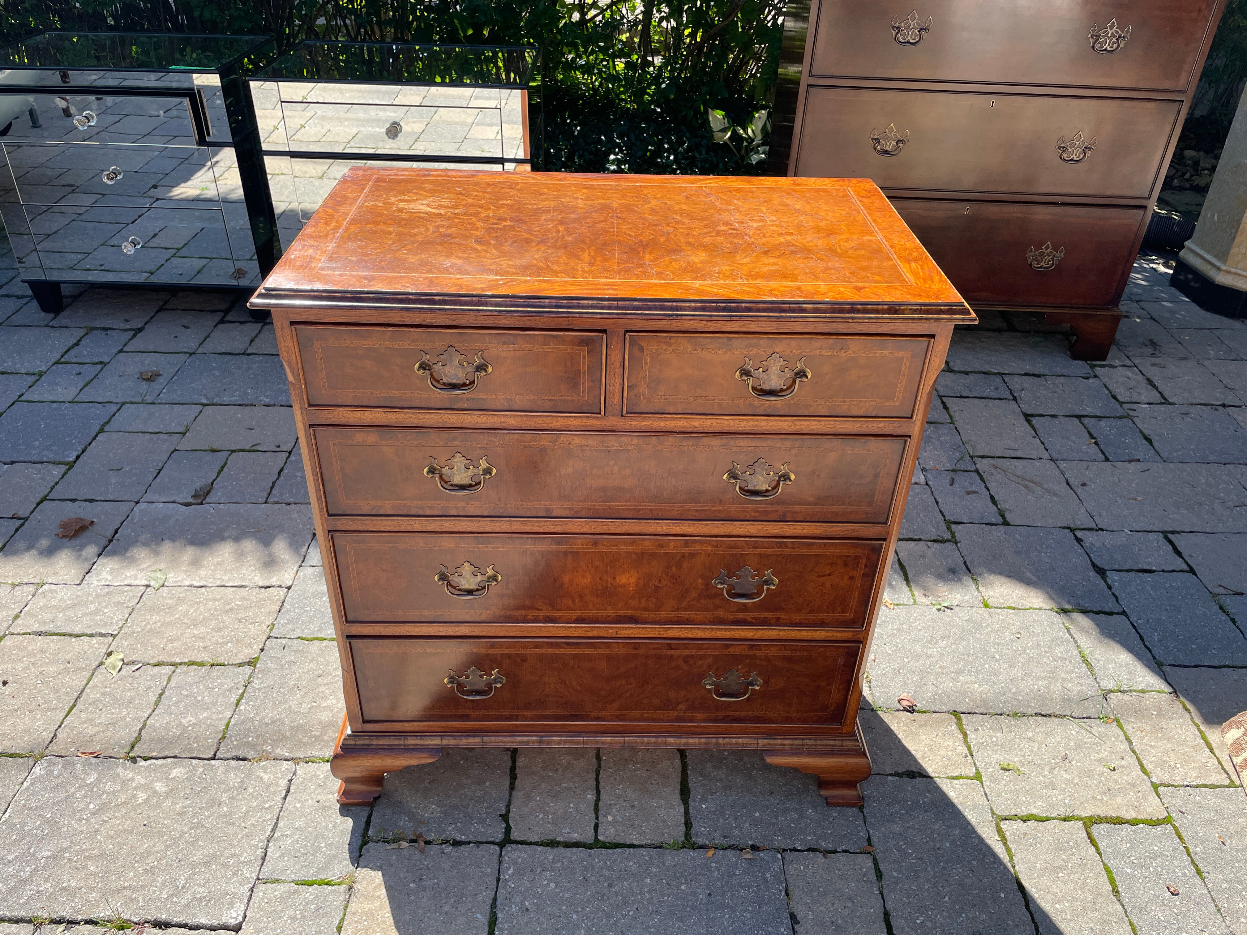 Lot 12 - Burled Walnut Chest of Drawers