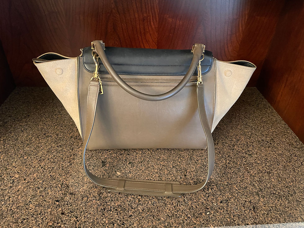 Thumbnail: Lot 85 - CELINE Leather & Suede Handbag (Retail $3,100)
