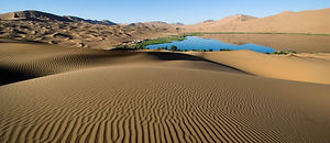 adventure-alone-arid-barren-274014.jpg