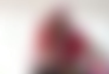 Festa da Família "Vilarejo das Artes" - 17 de Maio de 2025