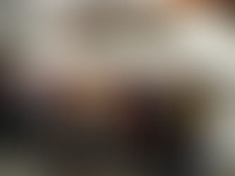 Grupo Sênior Betânia faz viagem a Joinville