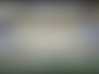 CEISB participa da Sessão Ordinária na Câmara Municipal de Colombo.