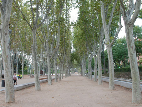 Cinco calles de Arganzuela sufrirán cortes del 27 de febrero al 5 de marzo