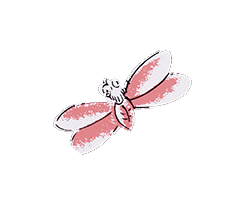 butterfly.gif
