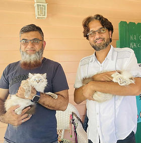 Kashif Rathur & Kamran Siddiqui came from Kenner, Louisiana 7/12/2025 for their LYNX Ragdoll boys.