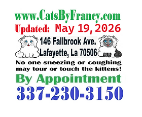 A. Registered Ragdoll & Ragamuffin Kittens: ACFA, TICA & ACA, 2-FVRCP Vaccinations, Trained, De-wormed, Bathed, DNA Negative for Disease, CFA Champion Pedigrees & Written Guaranty.
