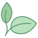 icons8-leaf-80.png