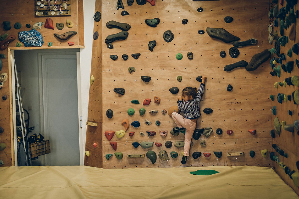 Cours et tarifs, salle d'escalade vertikaz à saint-pierre de la réunion