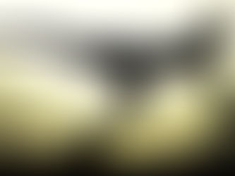 Pilates para a Estética