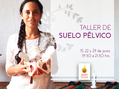 Taller suelo pélvico ONLINE