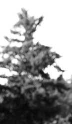 If She's Here promo 2_edited.jpg