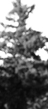 If She's Here promo 2_edited.jpg