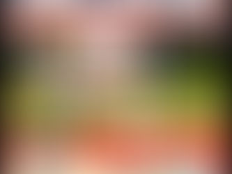 「プロ陸」開催のご案内