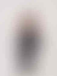 Kenella Ruffle Through Corset Top by Appapop