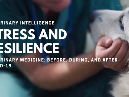 Is the veterinary profession at a breaking point—or on the verge of breakthrough?