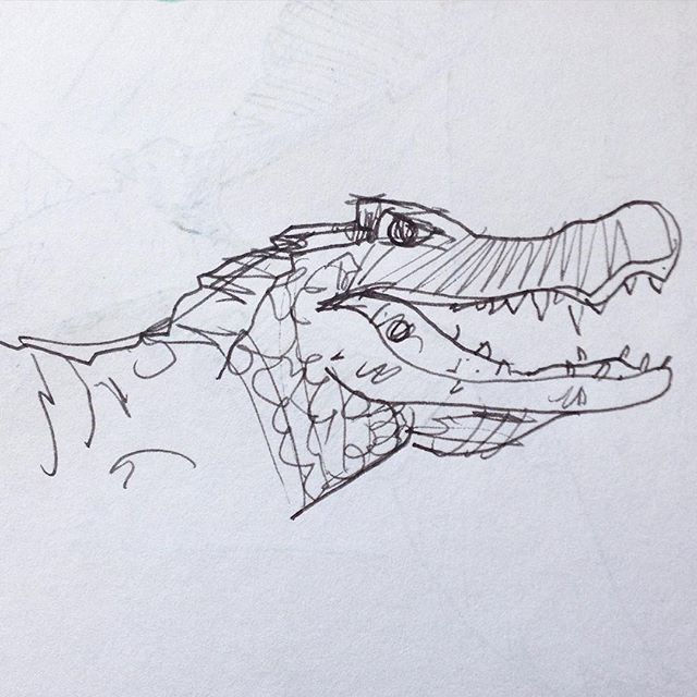 Dibujo Lucas Palomino. Cocodrilo