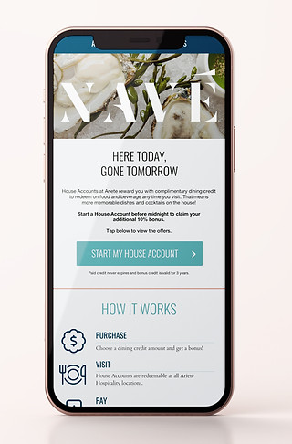 mobile mockup copy.jpg