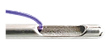 FC.png