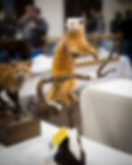 taxidermymount22A