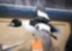 taxidermymount30A