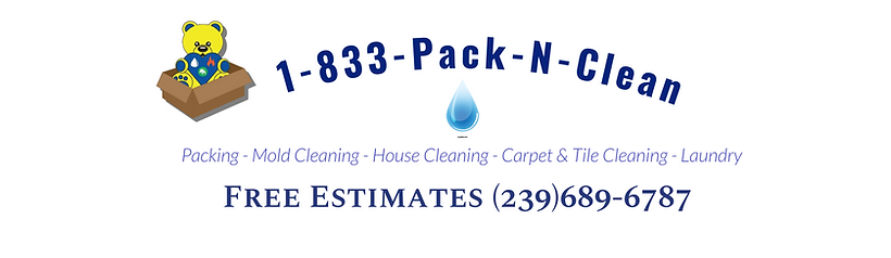 PACK N CLEAN CLEANING LOGO .webp