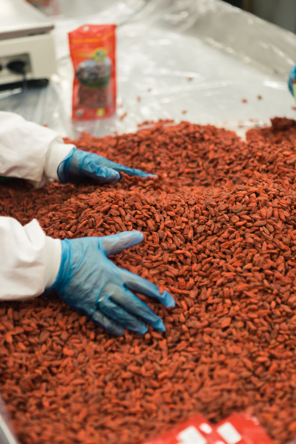 person-holding-grains-table.jpg
