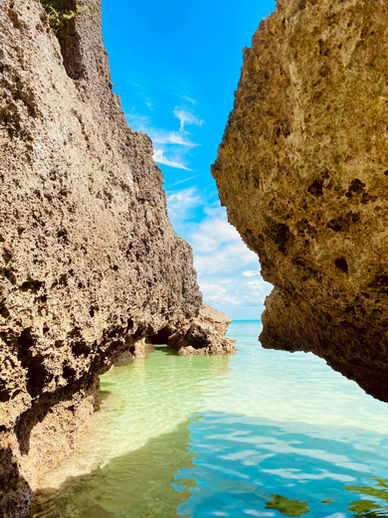 The Cove at Visayan Sea