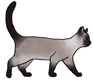 cat_walking_sideways.png