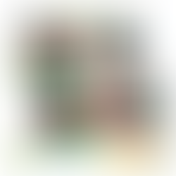 MAD SCIENTIST 2.0 HOLIDAY CAMP - TWIN ENGINE TAXIING AIRCRAFT FUN ✈️