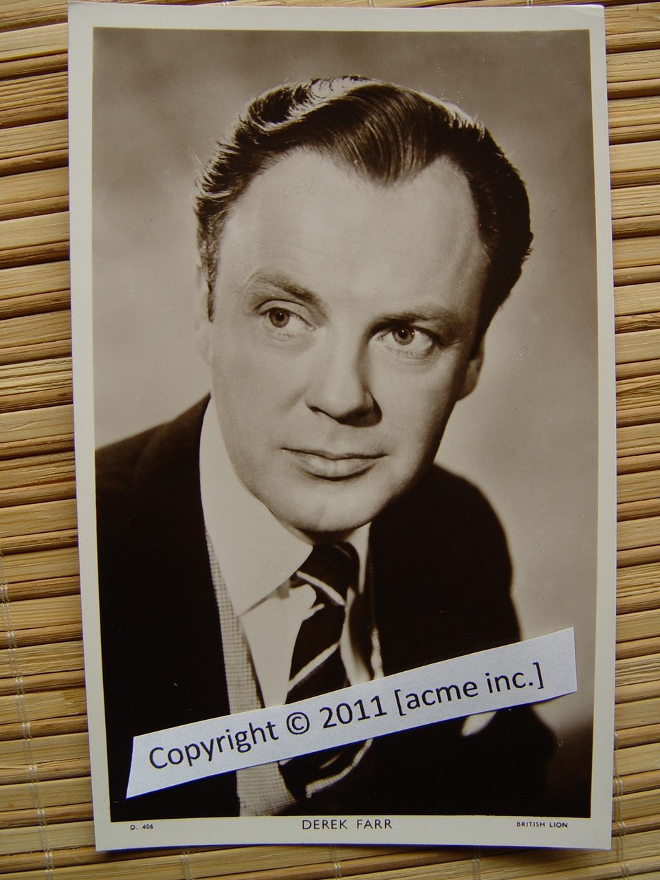 http://www.acme-inc.co.uk/websitepix/DSC050192.JPG