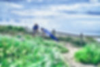 RTC06666_R1.jpg