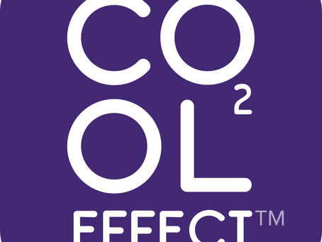 Carbon Offset Developers: Driving Positive Change